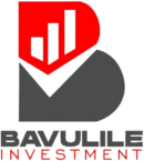 bavulile investment logo bg